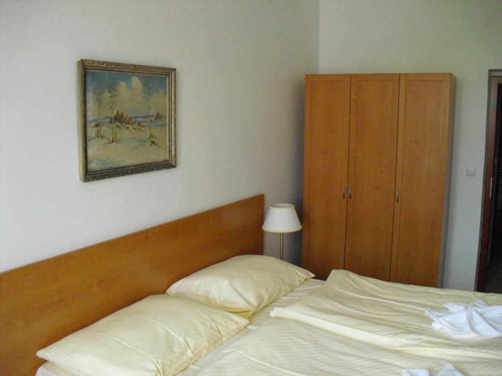 Mestsky Dorinka 3* Hostinné